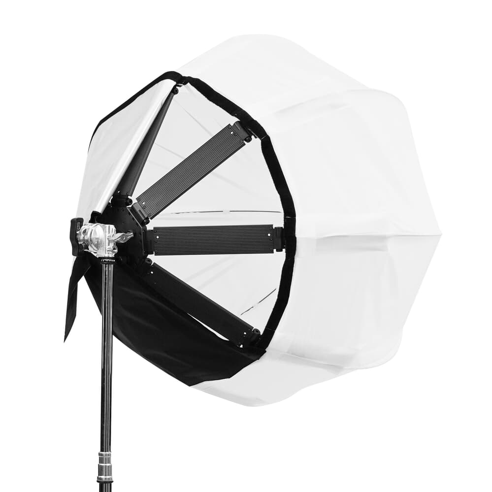 SNAPBAG® Lantern 3' HUDSON SPIDER Redback