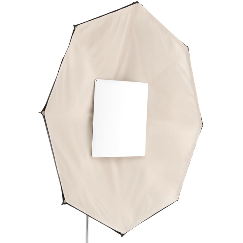 SNAPBRIDGE 5ft Color Bounce Unbleached